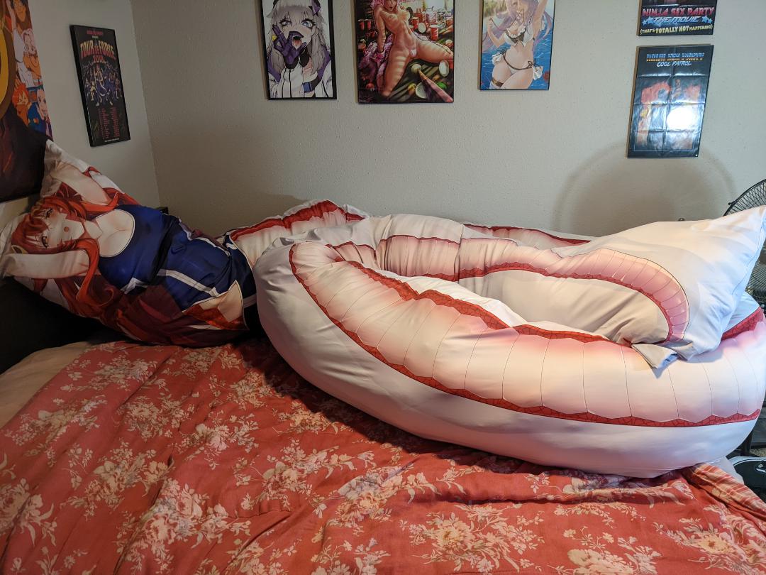 Best pic from r/Dakimakuras