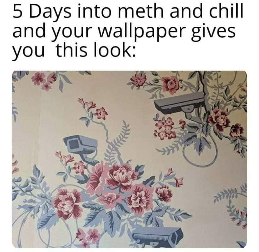 Best pic from r/meth