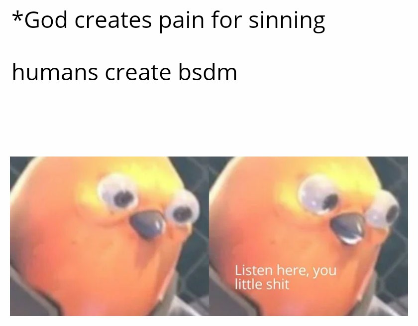 bdsmmemes