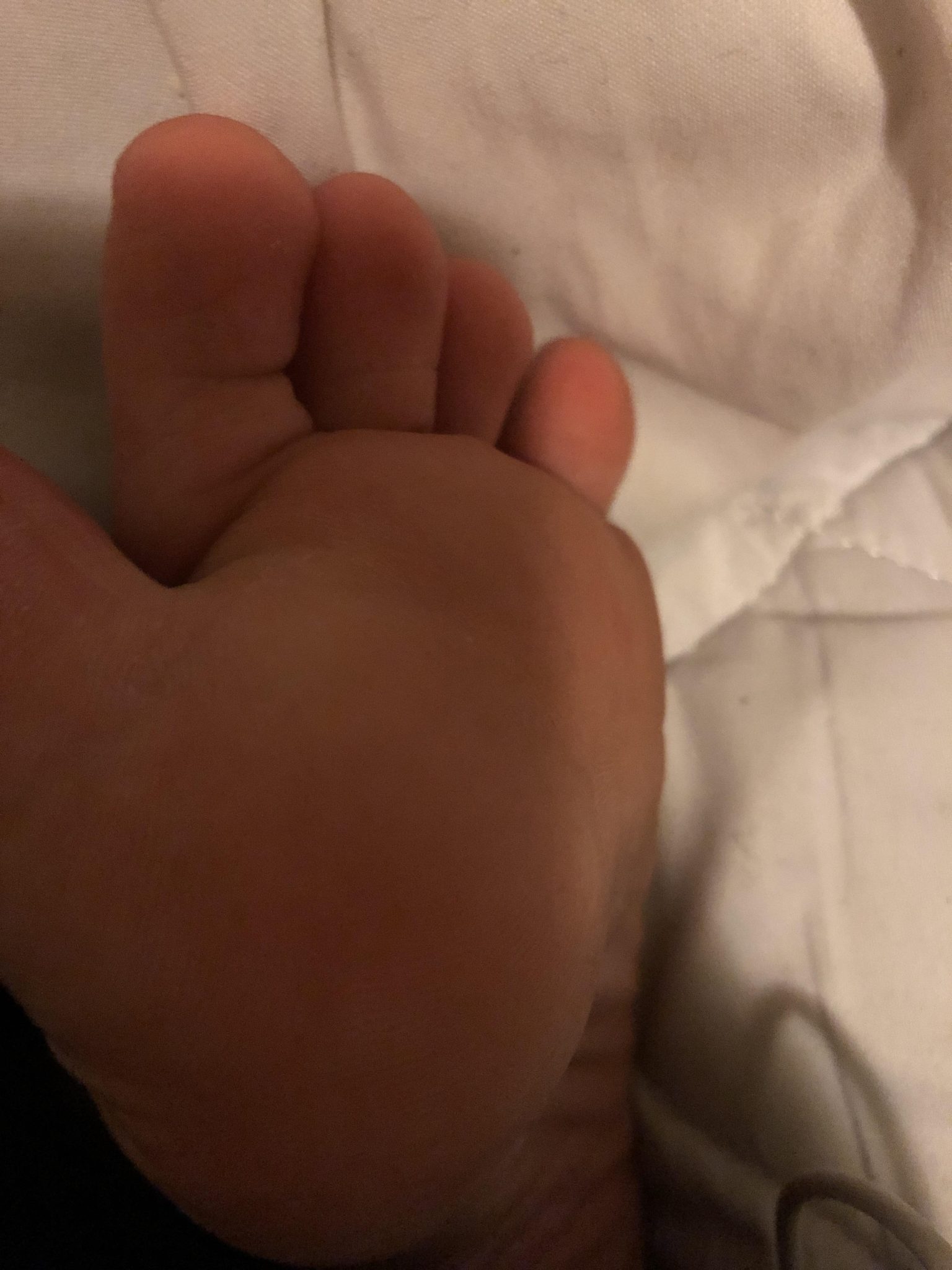 FeetToesAndSocks