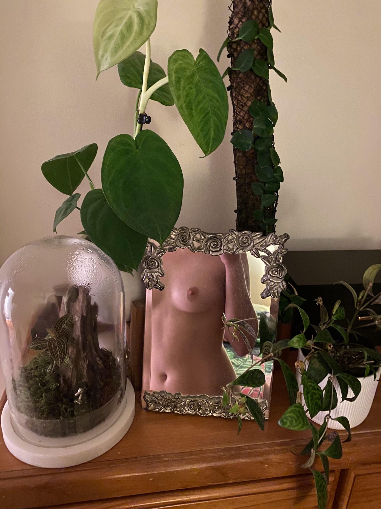 HouseplantWhores