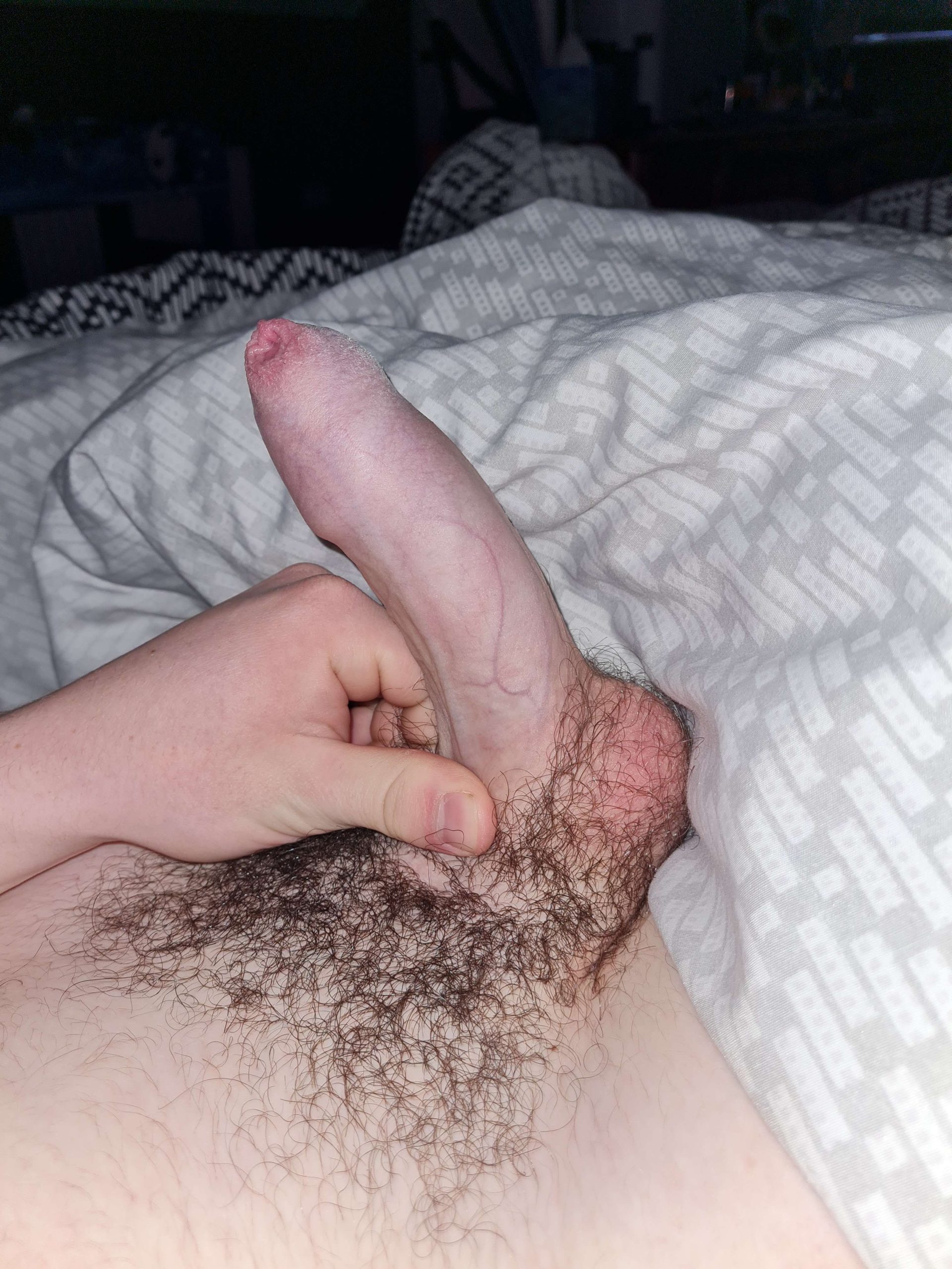 Morning wood