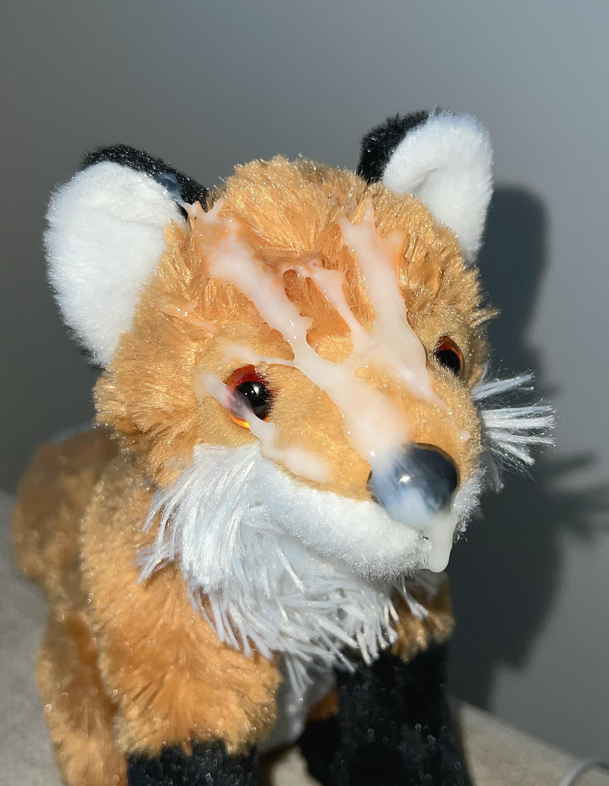 Cum on my fox plush