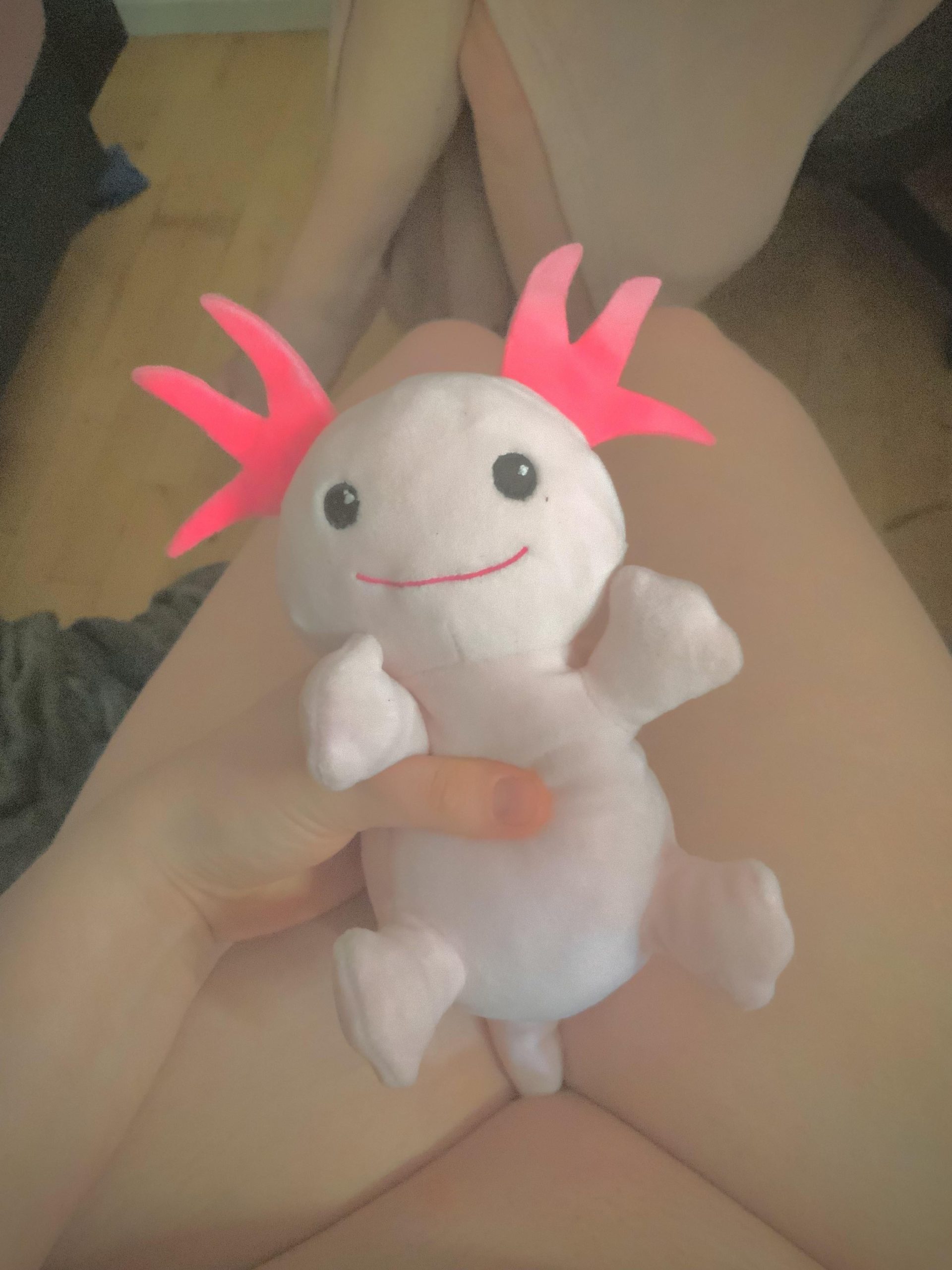 [Snuggle Saturday] my cute lil axolotl !