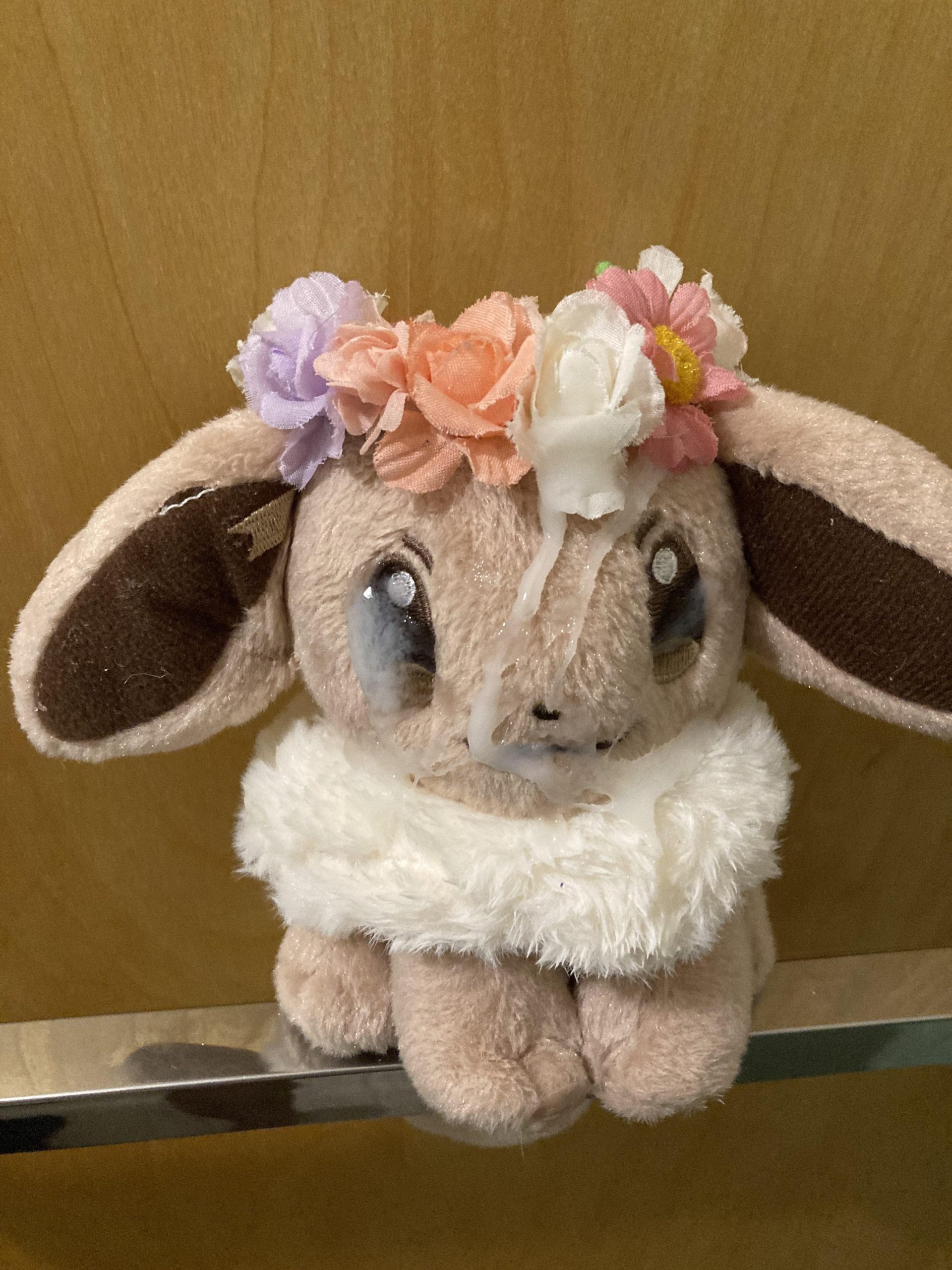 Lil eevee