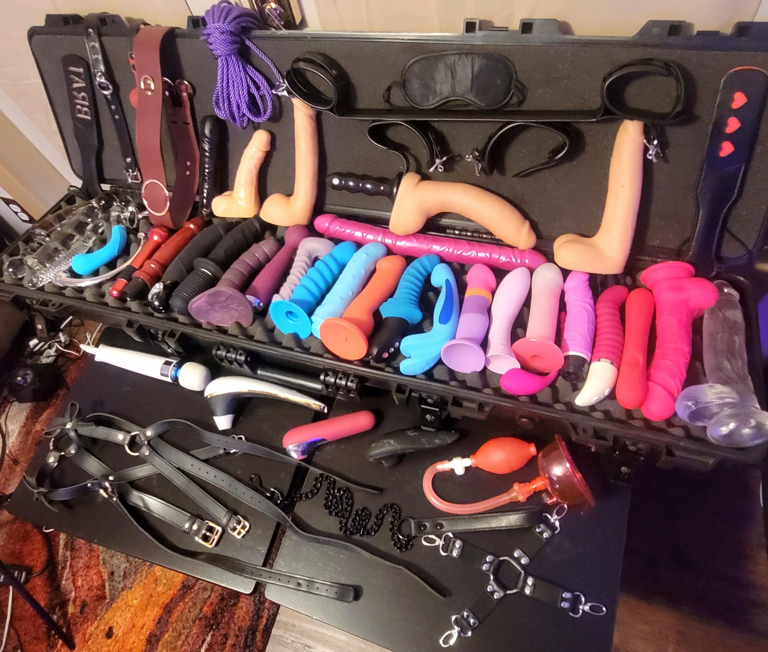 Managed to fit every dildo in the photo 😊 along with a few favorite items from the extended collection