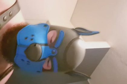 PupPlay